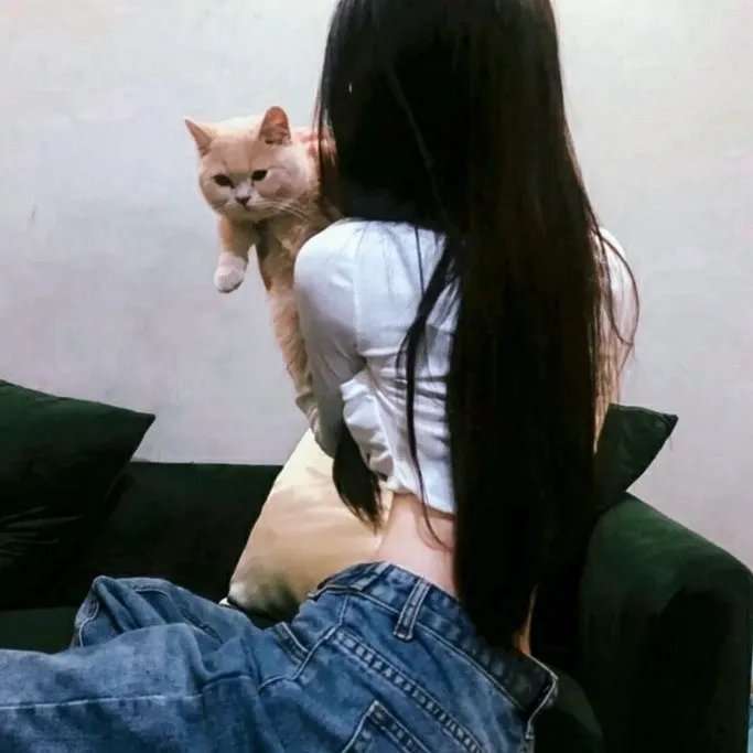 京剧猫